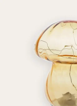 Hot Bouchara CHAMPIGNON LUMINEUX AMBRE