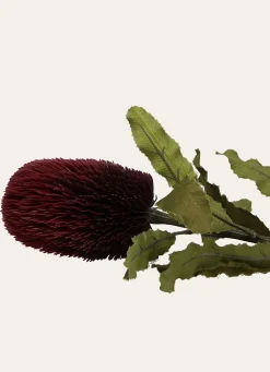 Hot Bouchara FLEUR ARTIFICIELLE BANKSIA PRUNE