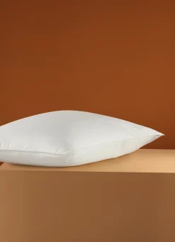 New Bouchara OREILLER EN PERCALE MOELLEUX ANTI-ACARIENS ECRU