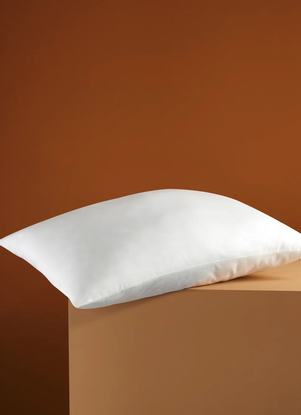 Discount Bouchara OREILLER RECTANGULAIRE MOELLEUX EN COTON BIO BLANC